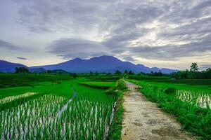 beautiful morning view from Indonesia of mountains and tropical forest photo