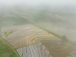 the beauty of the morning panorama with sunrise in indonesia village photo