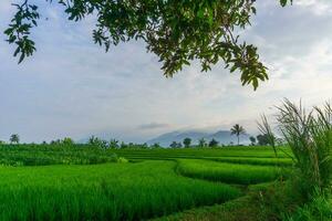 the beauty of the morning panorama with sunrise in indonesia village photo