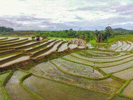 the beauty of the morning panorama with sunrise in indonesia village photo