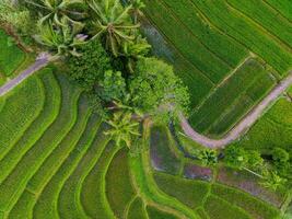 the beauty of the morning panorama with sunrise in indonesia village photo