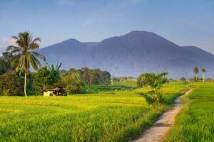 el belleza de el Mañana panorama con amanecer en Indonesia pueblo foto