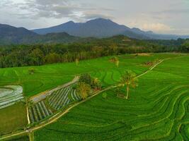 the beauty of the morning panorama with sunrise in indonesia village photo