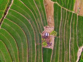 the beauty of the morning panorama with sunrise in indonesia village photo