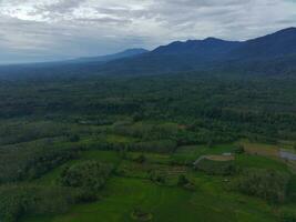 the beauty of the morning panorama with sunrise in indonesia village photo