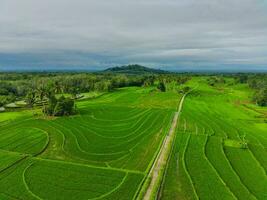 el belleza de el Mañana panorama con amanecer en Indonesia pueblo foto