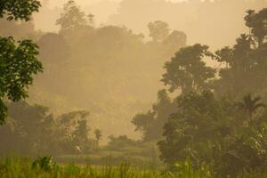 beautiful morning view from Indonesia of mountains and tropical forest photo