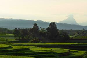 the beauty of the morning panorama with sunrise in indonesia village photo