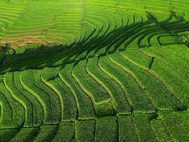 the beauty of the morning panorama with sunrise in indonesia village photo