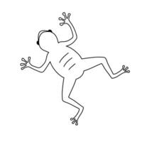 Hand drawn lab frog vector doodle outline illustration