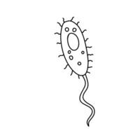 Virus line sketch. Science doodle illustration. Microbe in outline vector