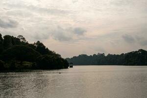 Reservoir Horizon Surrounded By Lush Greenery photo