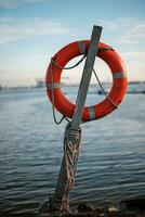 Red Life Buoy on Stick photo