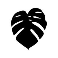 monstera leaf vector sketch