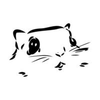 flying squirrel vector sketch