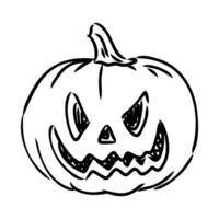 Halloween pumpkin vector sketch