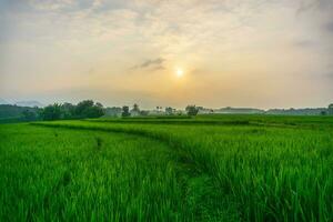 the beauty of the foggy morning panorama with sunrise and rice fields in Bengkulu photo