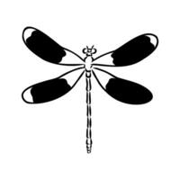 dragonfly vector sketch