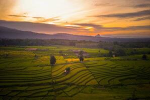 the beauty of the morning panorama with sunrise in indonesia village photo