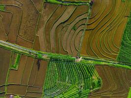 the beauty of the morning panorama with sunrise in indonesia village photo