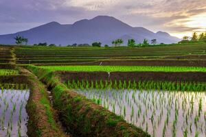 the beauty of the morning panorama with sunrise in indonesia village photo