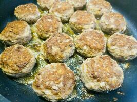 Fried meatballs with cabbage and parsley potatoes photo