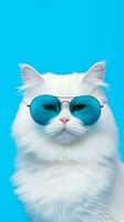 Portrait cool cat concept design, white cat wearing eyes glasses isolated on background, blue texture on background, iOS background style, photo