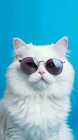 retrato frio gato concepto diseño, blanco gato vistiendo ojos lentes aislado en fondo, azul textura en fondo, ios antecedentes estilo, foto