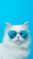 Portrait cool cat concept design, white cat wearing eyes glasses isolated on background, blue texture on background, iOS background style, photo