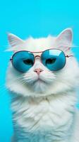 Portrait cool cat concept design, white cat wearing eyes glasses isolated on background, blue texture on background, iOS background style, photo