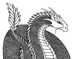 DRAWING GRAPHIC DRAGON. Very beautiful black and white outline illustration on white background. vector