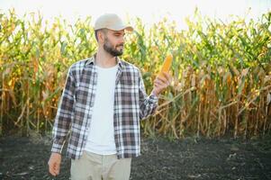 A male farmer or agronomist is working in a corn field. The concept of agriculture photo