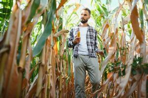 successful agriculturist in field of corn photo