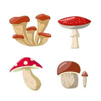 Set Cartoon mushrooms isolated vector illustration . Forest wild mushrooms types. Organic poisonous fungus