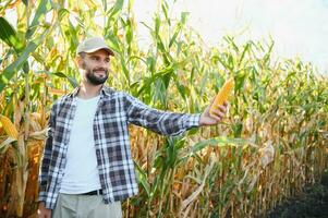 successful agriculturist in field of corn photo