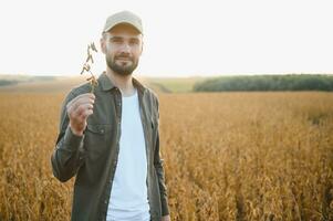 Farmer agronomist on a soybean field. Agricultural industry. photo