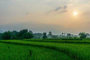 el belleza de el brumoso Mañana panorama con amanecer y arroz campos en bengkulu foto