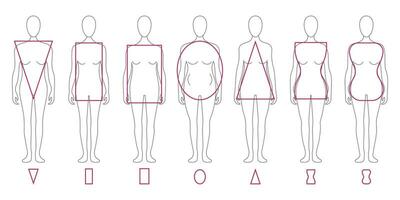 Set of different types of female figures. Female body types with geometric shapes. Vector