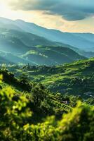 AI generated a breathtaking landscape during sunset or sunrise. Rolling green hills are prominently featured, bathed in soft sunlight creating a serene atmosphere. photo
