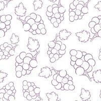 Grape line art style seamless pattern. Vector illustration on a white background.