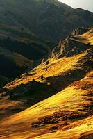AI generated Sunset illuminates golden slopes, contrasting with shadowed rocky peaks and autumn-colored forest below. photo