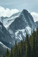 AI generated Majestic mountain, snowy caps contrasted by lush green forest under a serene sky. A tranquil wilderness scene. photo