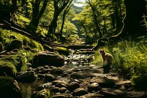 AI generated A cat explores a vibrant forest. Sunlight filters through the trees, illuminating the peaceful stream and moss-covered rocks. photo