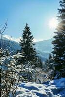 AI generated Winter wonderland with snow-covered ground, towering pine trees, a radiant sun illuminating the clear blue sky and majestic mountains. photo