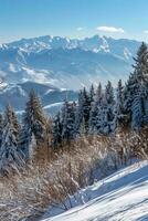 AI generated Breathtaking view of snow-capped mountains, blue skies, and frost-covered trees showcasing nature's winter beauty. photo