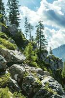 AI generated a breathtaking view of an alpine landscape with towering pine trees, rocky terrains adorned with lush green moss, under a sky painted with fluffy clouds. photo