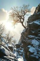 AI generated a breathtaking snowy landscape featuring a bare tree amidst rocky terrain, illuminated by the bright sunlight. The sky is partly cloudy with hues that complement photo