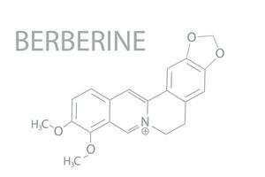 Berberine molecular skeletal chemical formula vector