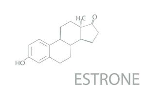 Estrone molecular skeletal chemical formula vector