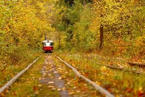 Autumn forest through which an old tram rides Ukraine photo